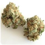 Шишки "White Widow" (Белая вдова) Гидропоника - Бошка VHQ в Фролово Шишки "White Widow" (Белая вдова) Гидропоника - Бошка VHQ в Фролово