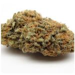 Шишки AK47 (Гидропоника, Бошка) VHQ в Фролово Шишки AK47 (Гидропоника, Бошка) VHQ в Фролово